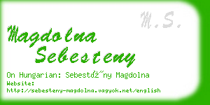 magdolna sebesteny business card